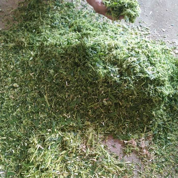 履帶式青儲(chǔ)機(jī)