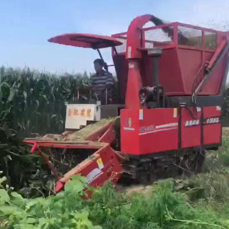 履帶圓盤青儲機(jī)視頻